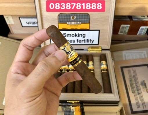 XÌ GÀ Cohiba Maduro 5 Secrestos 10s